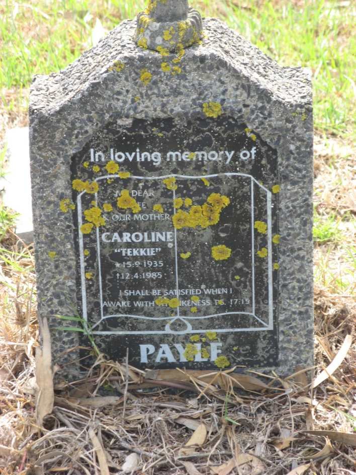 PAYLE Caroline 1935-1985