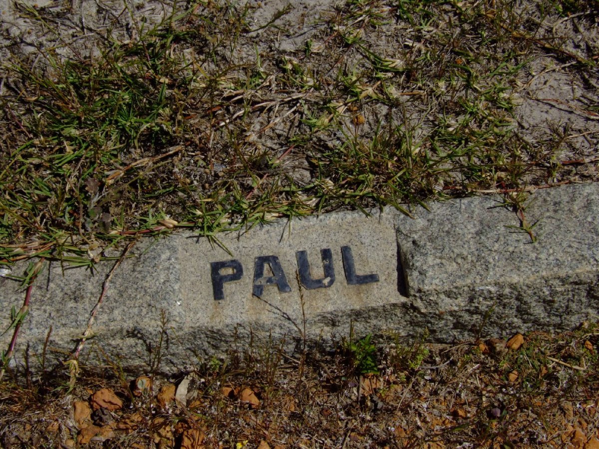 PAUL