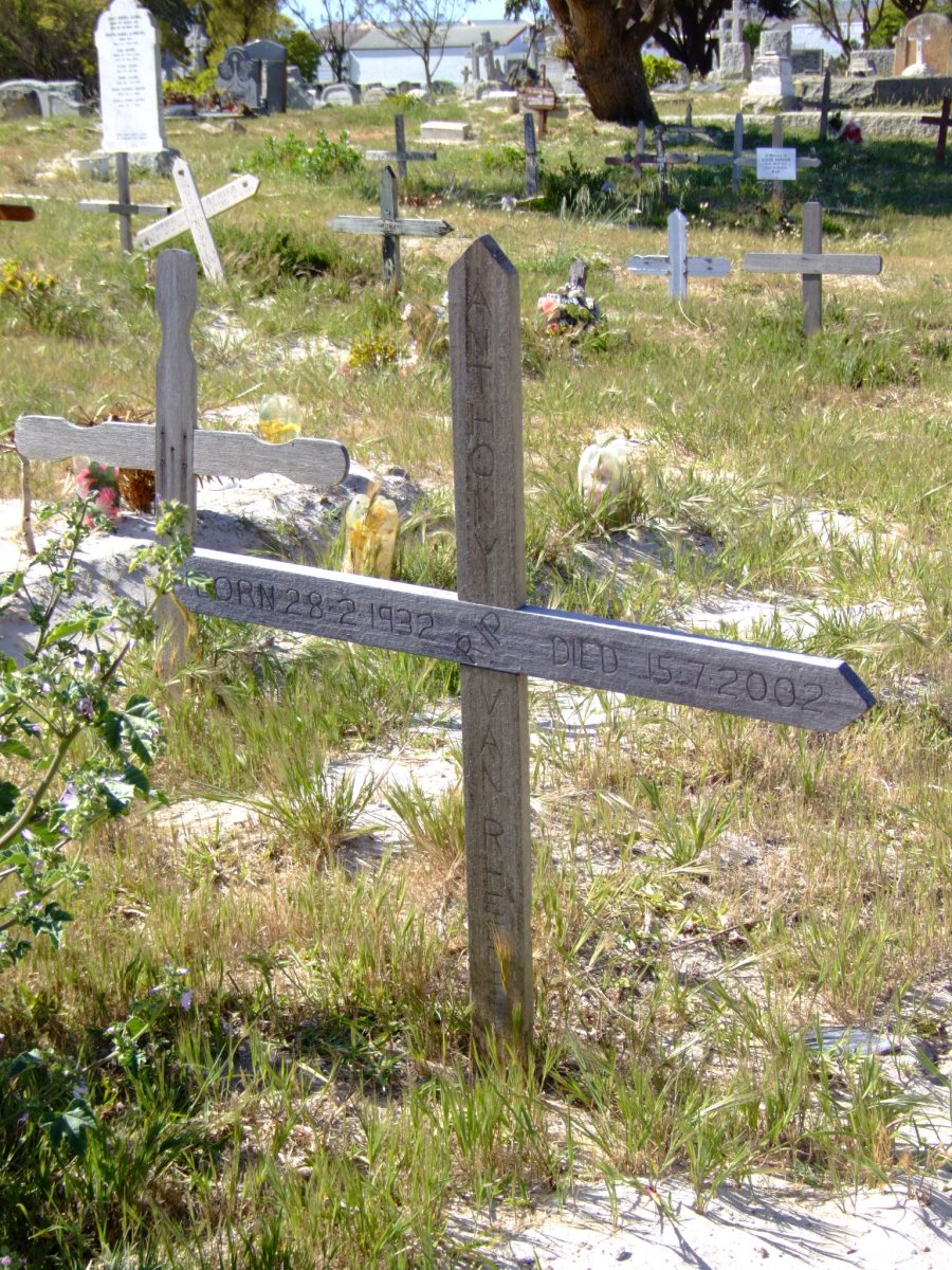 RHEENEN Anthony, van 1932-2002