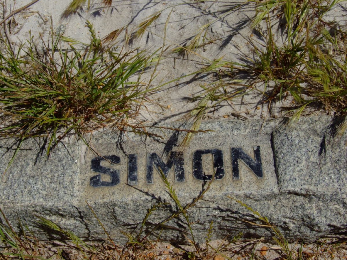 SIMON