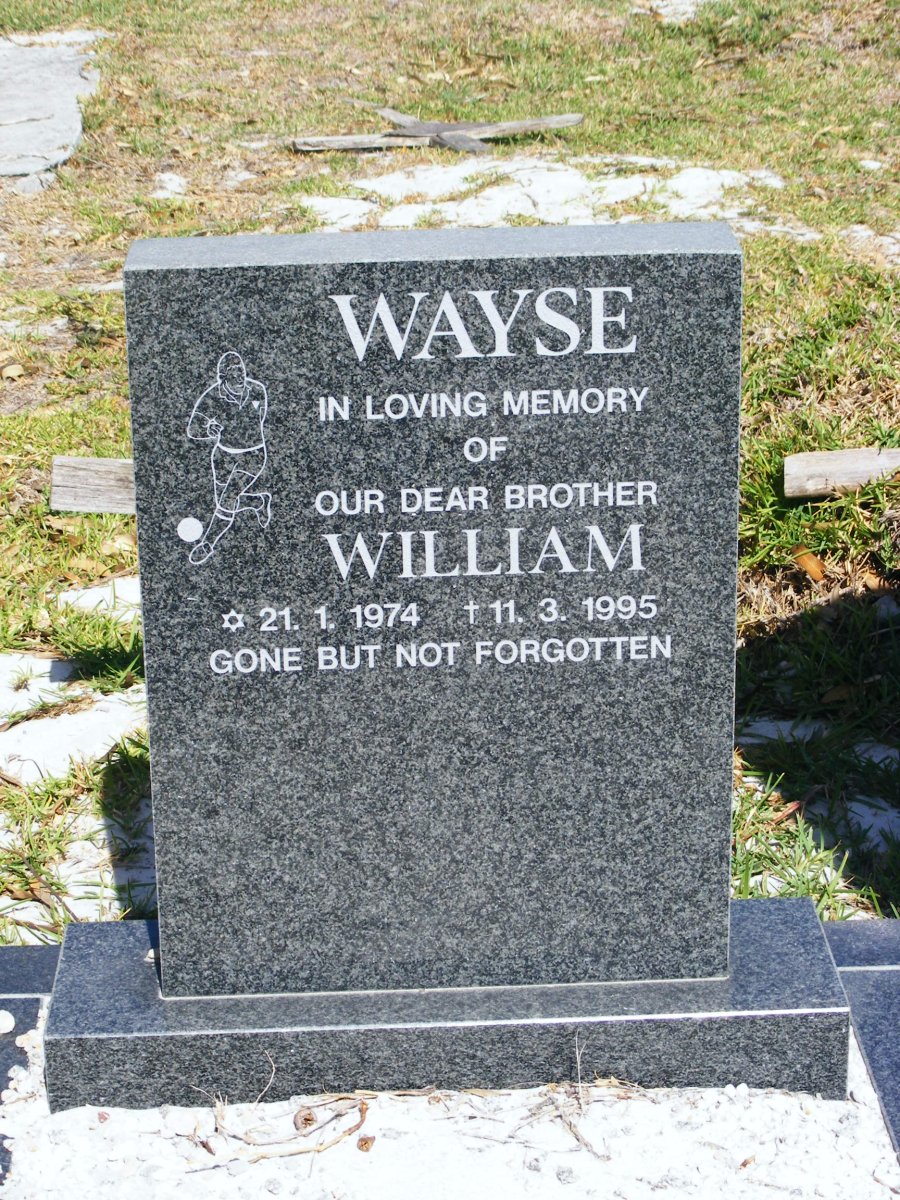 WAYSE William 1974-1995