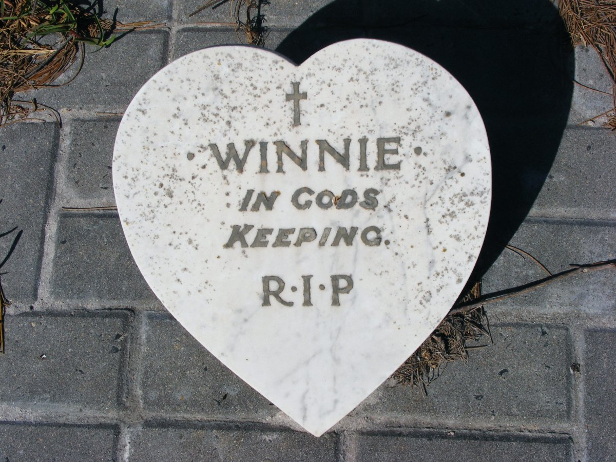 ? Winnie