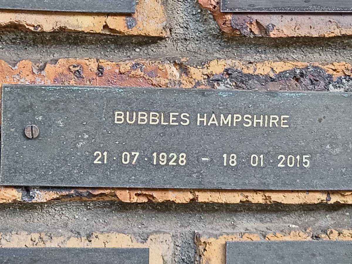 HAMPSHIRE Bubbles 1928-2015
