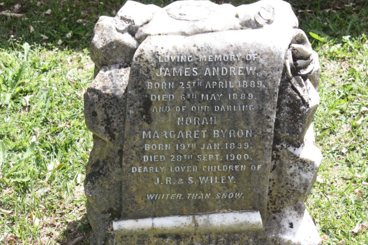 WILEY James Andrew 1889-1889 :: WILEY Norah Margaret Byron 1899-1900