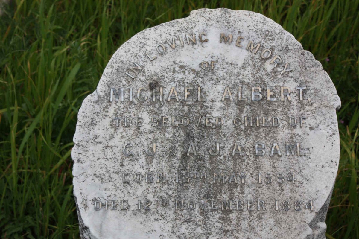 BAM Michael Albert 1884-1884