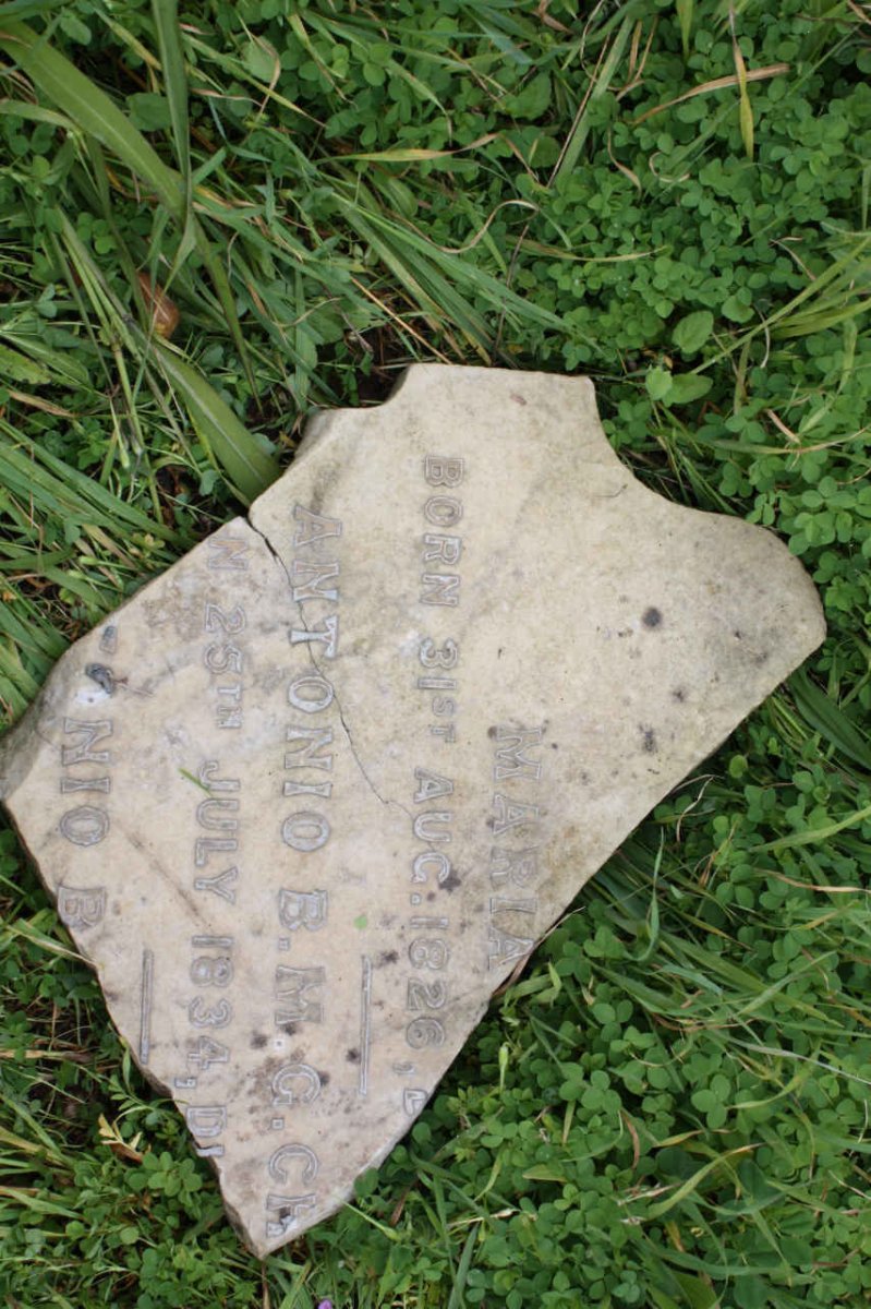 CHIAPPINI Antonio B.M.G. 1834-?  :: ? Maria 1826-?
