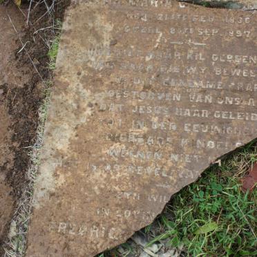 DYKMAN Elizabeth Helena 1869-18?0 :: ? Helena Martha C. nee DANTU 1836-1987 :: ? Fredrick ?