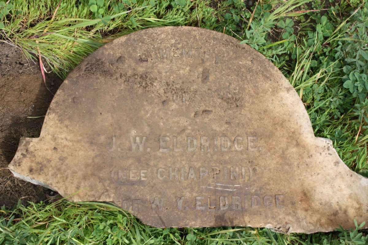 ELDRIDGE W.Y. ? &amp; J.W. CHIAPPINI  -1875