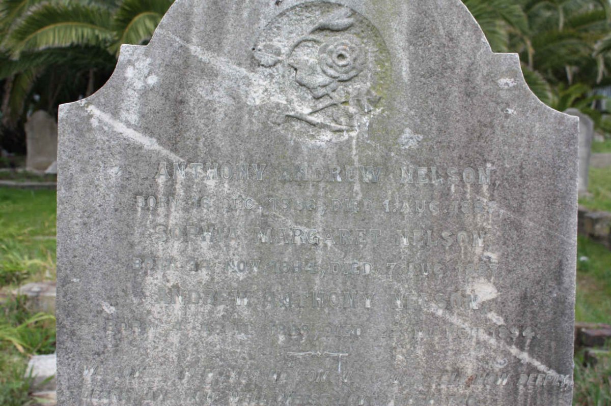NELSON Anthony Andrew 1886-1887 :: NELSON Sophia Margaret 1884-1887 :: NELSON Andrew Anthony 1888-1894