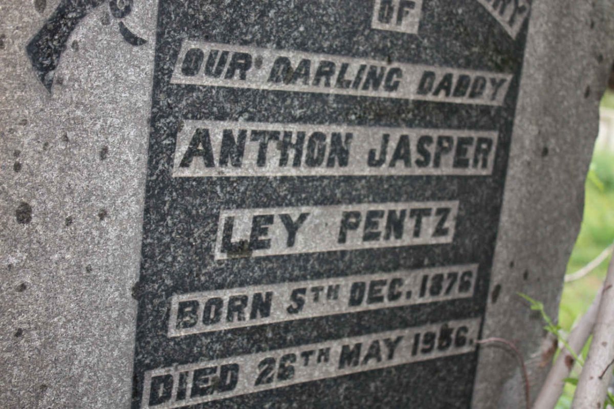 PENTZ Anthon Jasper Ley 1876-1936