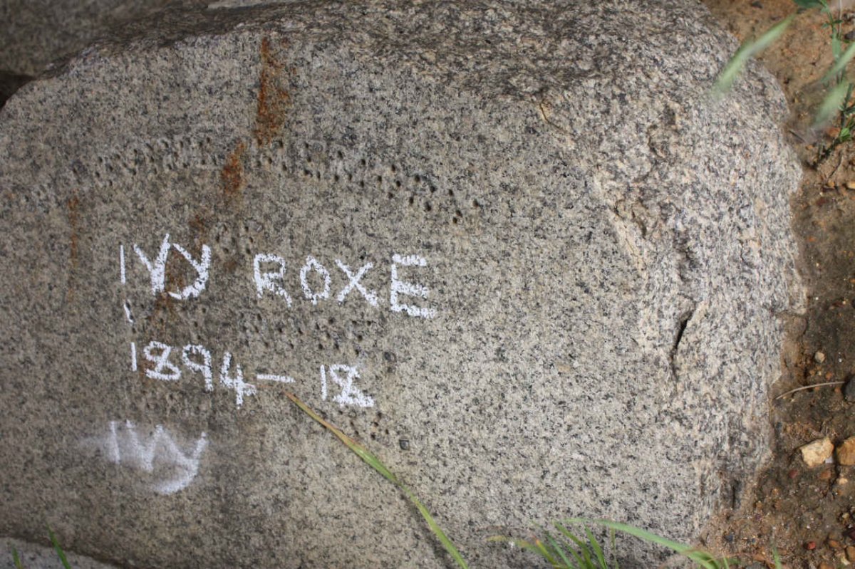 ROXE Ivy 1894-