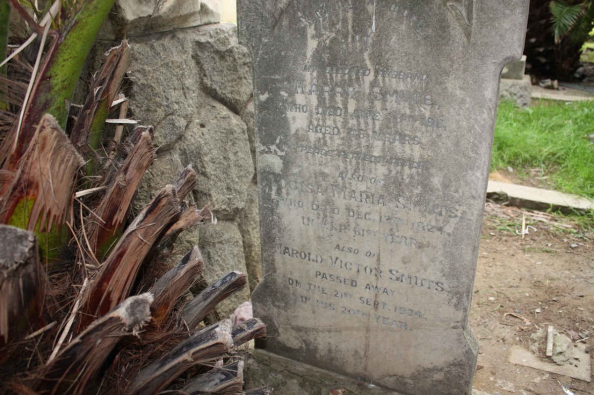 SMUTS Harry -1911 &amp; Louisa Maria -1924 :: SMUTS Harold Victor -1934