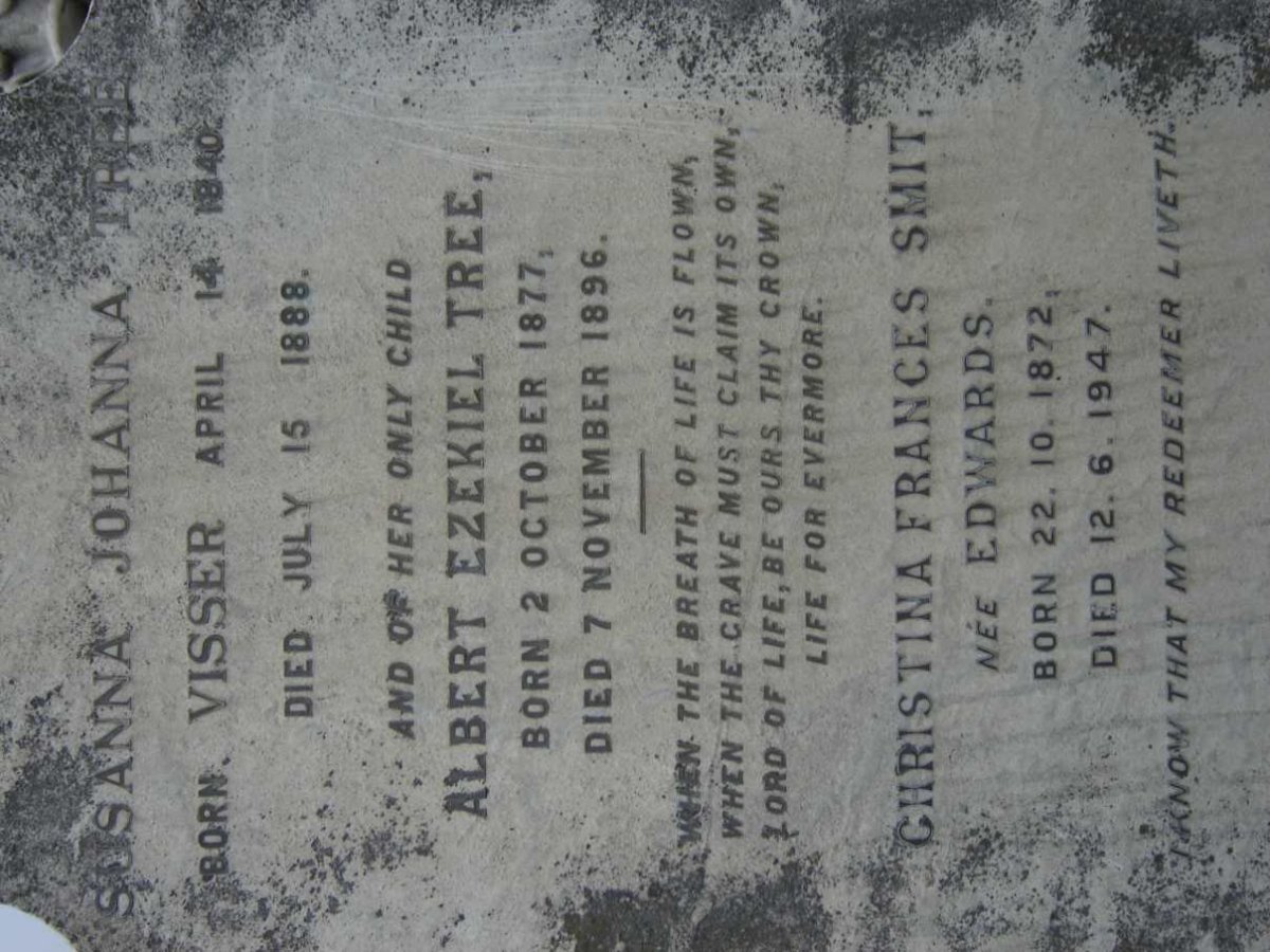 TREE Susanna Johanna nee VISSER 1840-1888 :: TREE Albert Ezekiel 1877-1896 :: SMIT Christina Frances nee EDWARDS 1872-1947