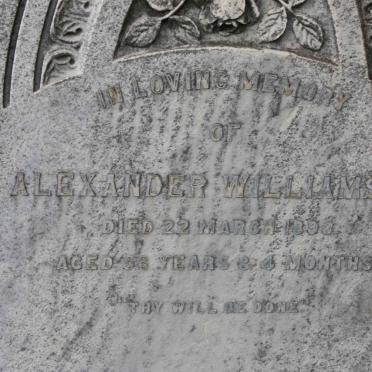 WILLIAMSON Alexander  1893