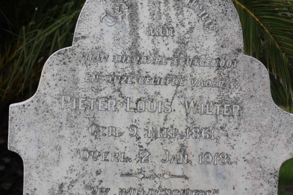 WILTER Pieter Louis 1861-1918