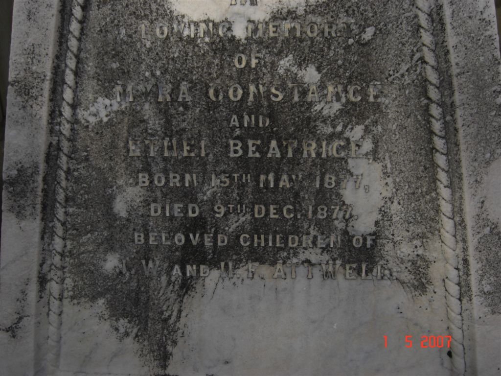 ATTWELL Myra Constance 1877-1877 :: ATTWELL Ethel Beatrice 1877-1877