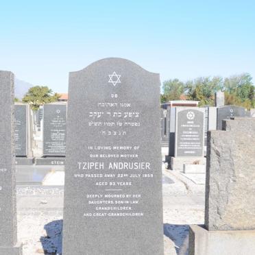 ANDRUSIER Tzipeh -1959