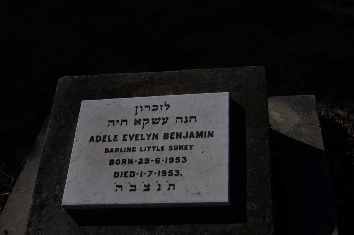 BENJAMIN Adele Evelyn 1953-1953