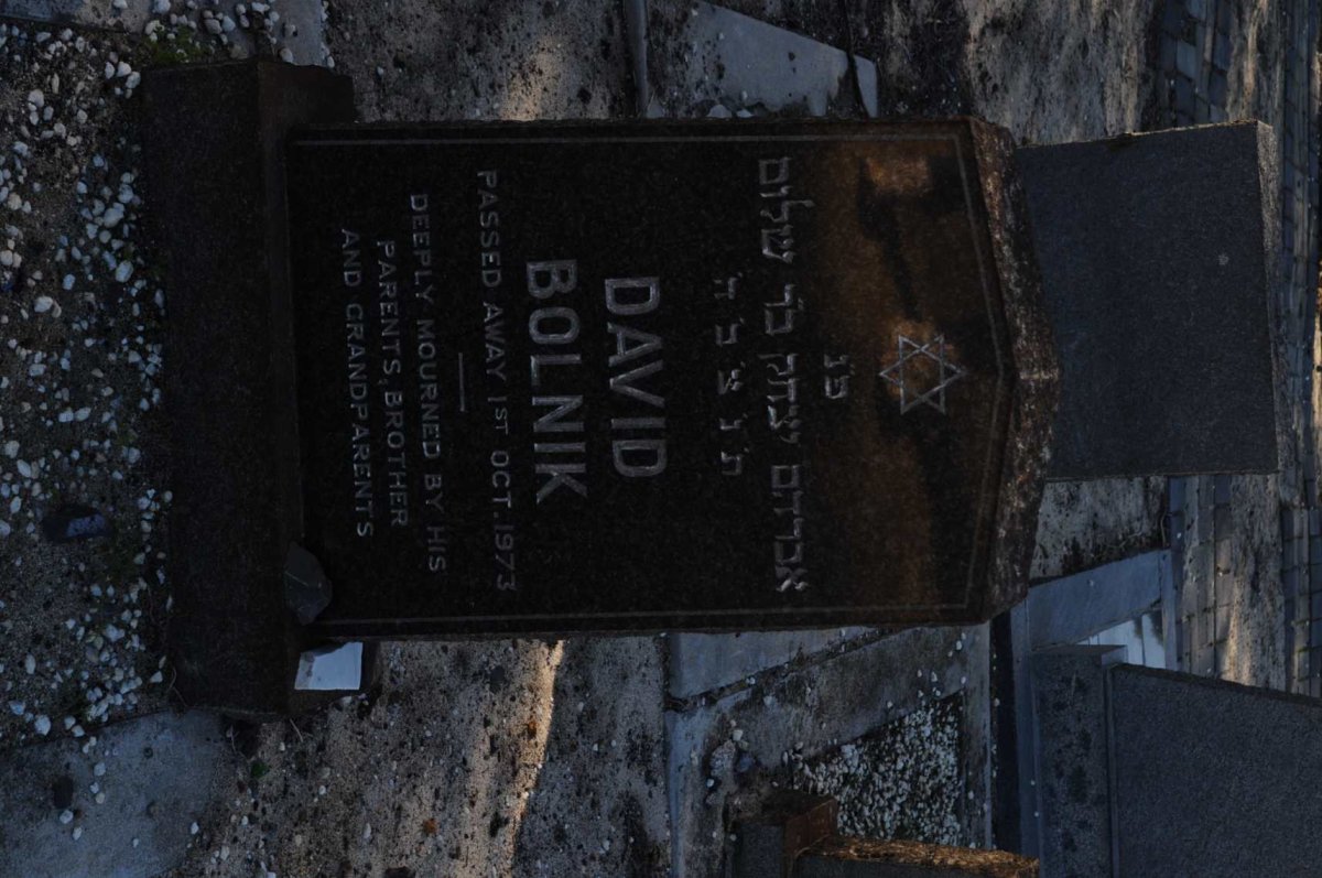 BOLNICK David -1973