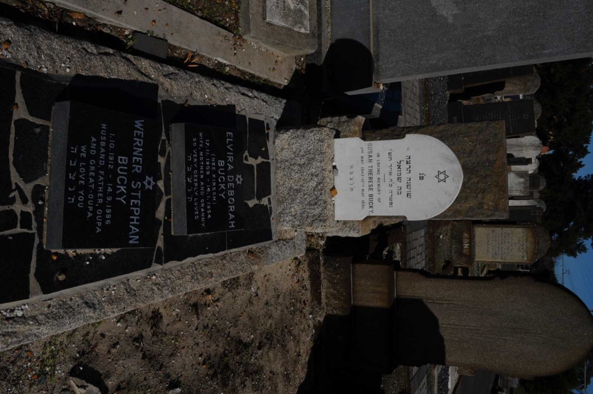 BUCKY Werner Stephan 1912-1996 &amp; Elvira Deborah KIRSCH 1909-1994 :: BUCKY Susan Therese 1943-1950