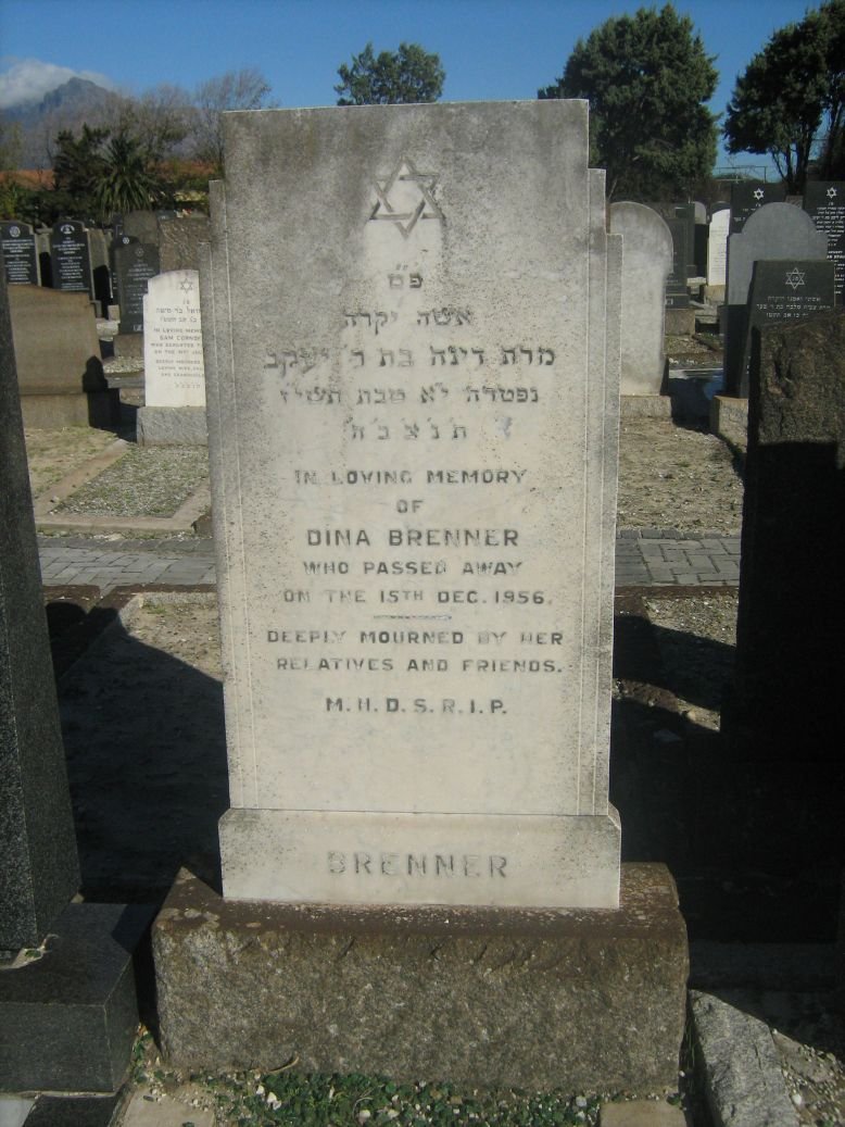 BRENNER Dina -1956