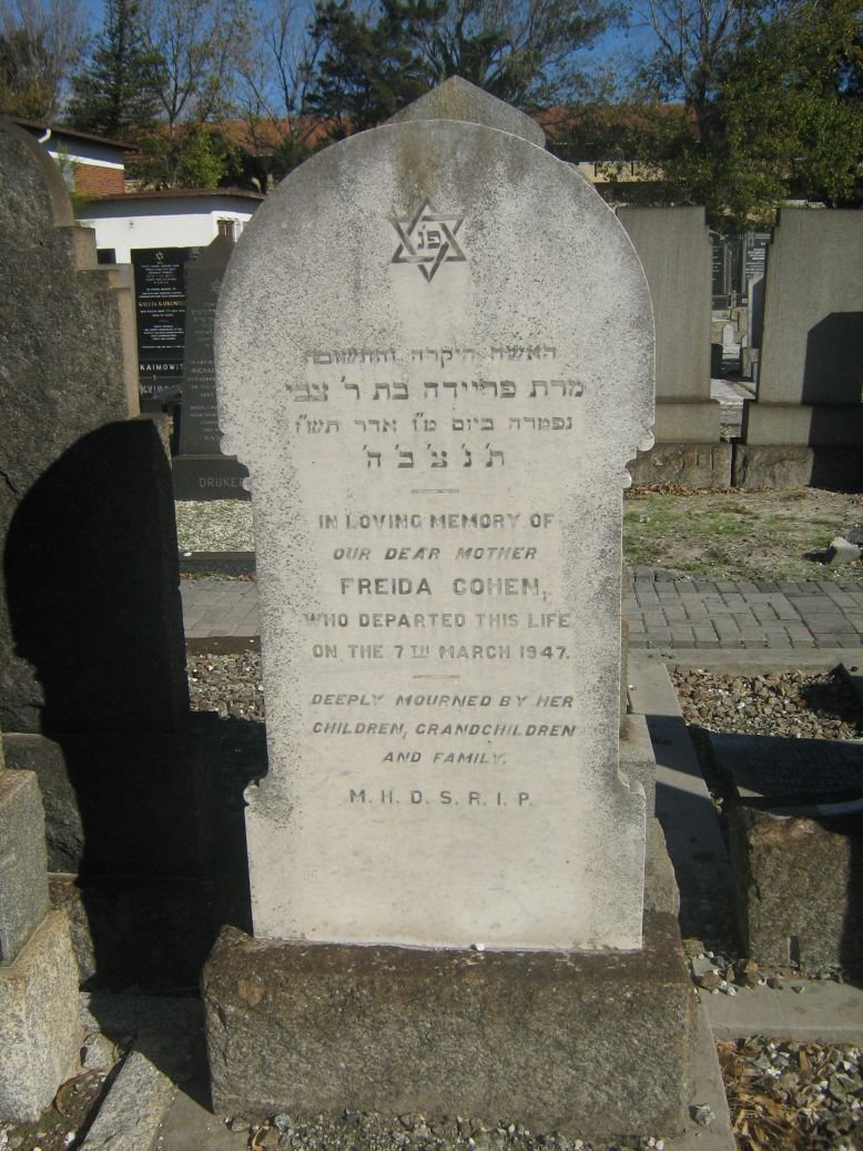 COHEN Freida -1947
