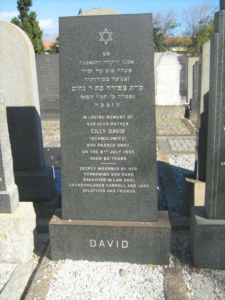DAVID Cilly nee SCHMULOWITZ -1955