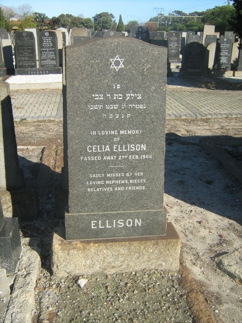 ELLISON Celia -1966