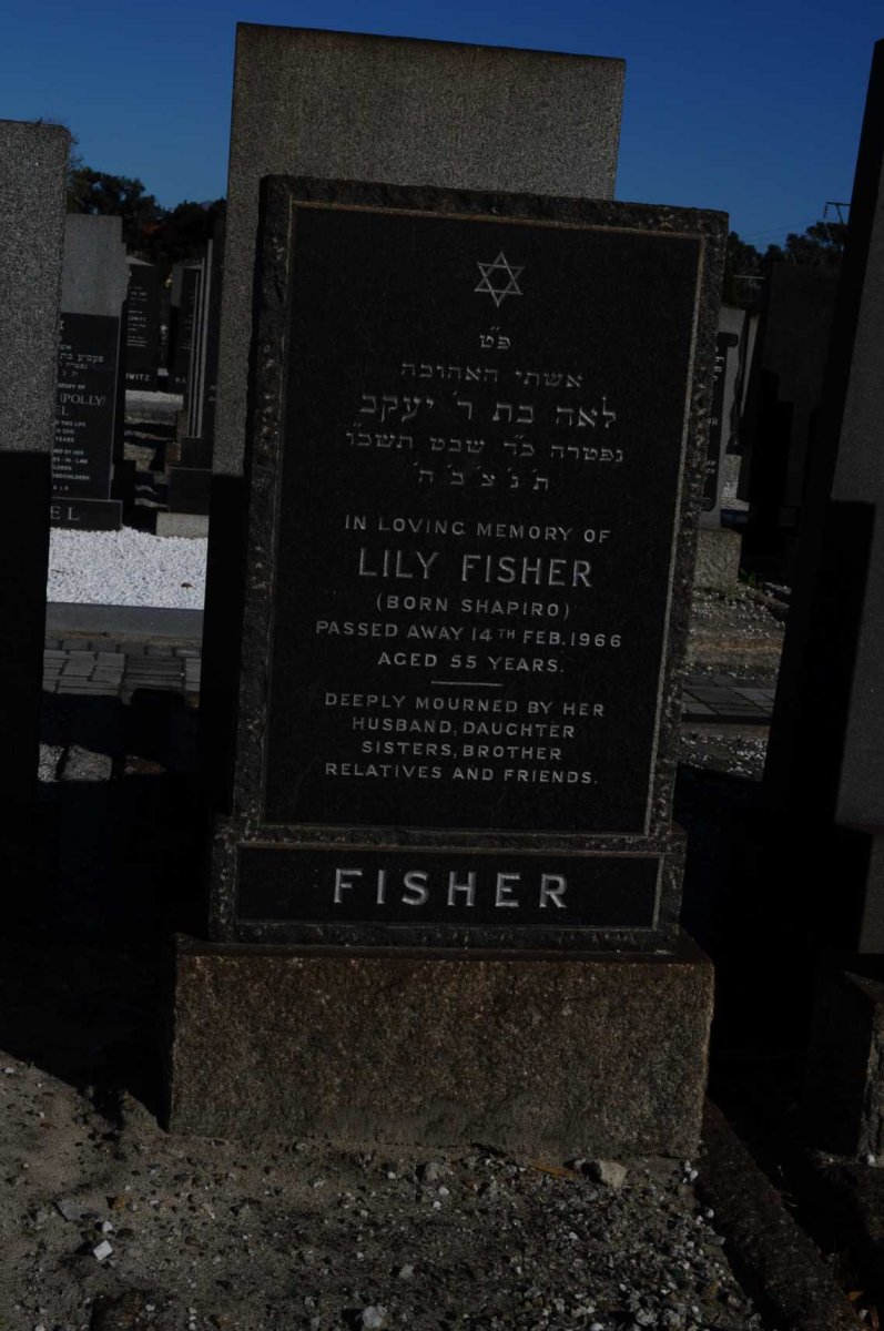 FISHER Lily nee SHAPIRO -1966
