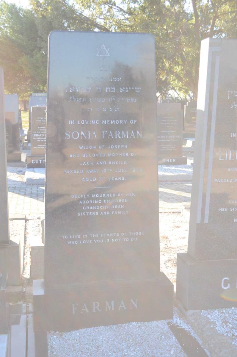 FARMAN Sonia -1973