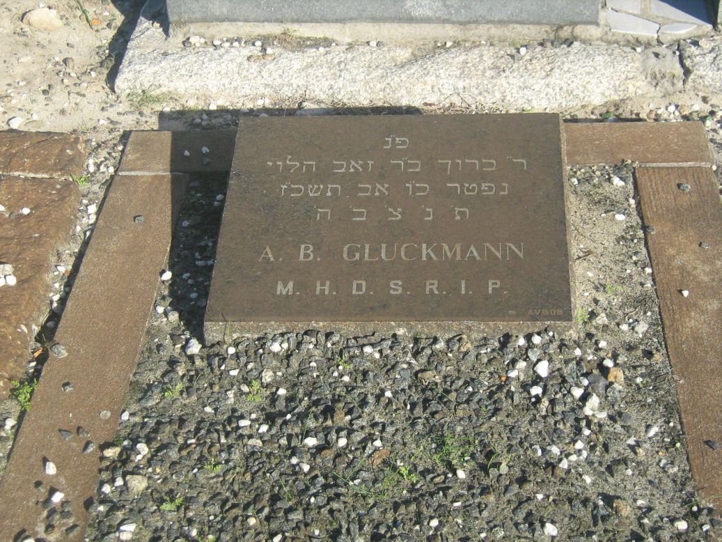 GLUCKMAN A.B.