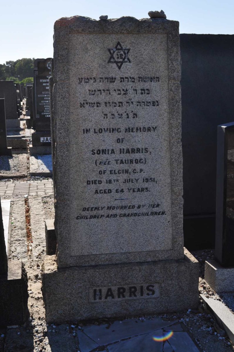 HARRIS Sonia nee TAUROG -1951