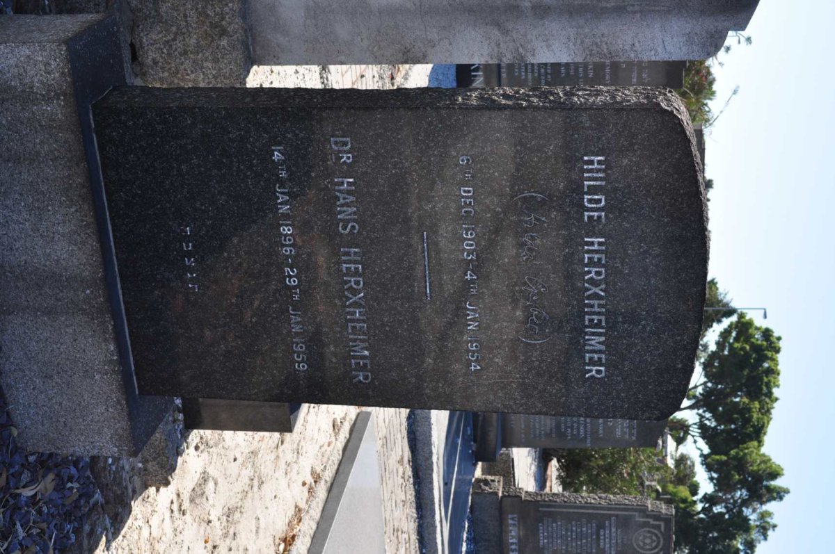 HERXHEIMER Hans 1896-1959 &amp; Hilde 1903-1954