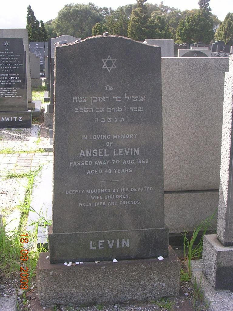 LEVIN Ansel -1962