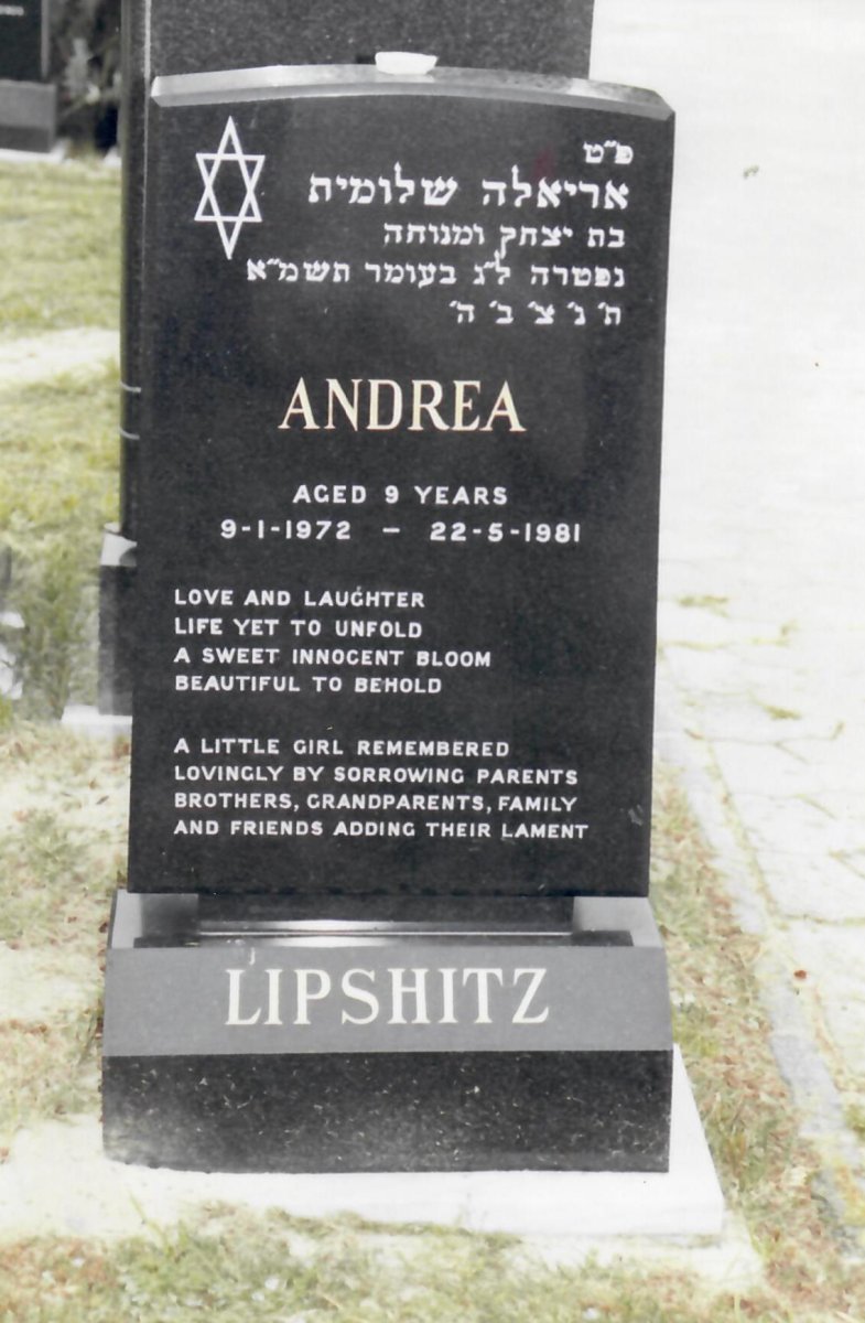 LIPSHITZ Andrea 1972-1981