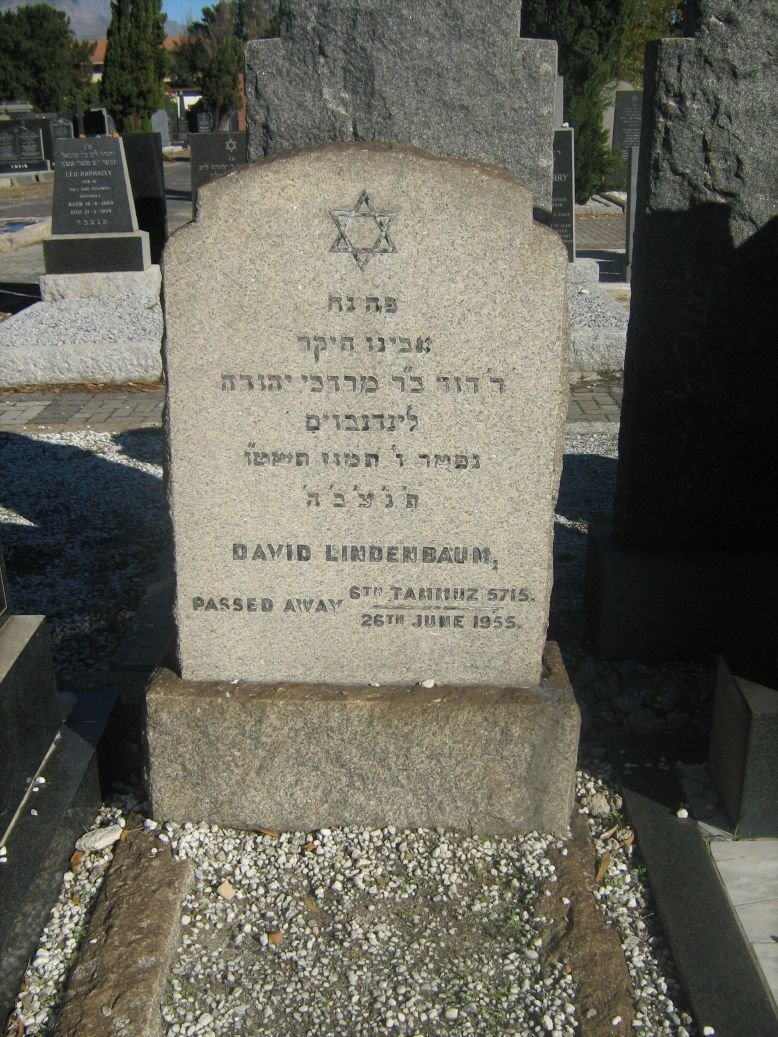 LINDEBAUM David -1955