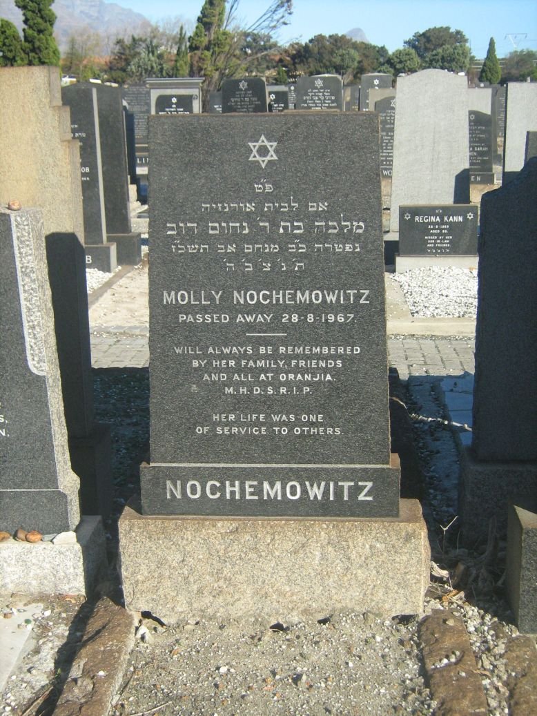 NOCHEMOWITZ Molley -1967