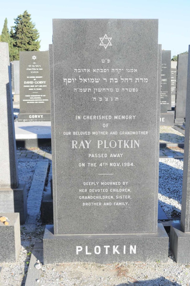 PLOTKIN Ray -1984