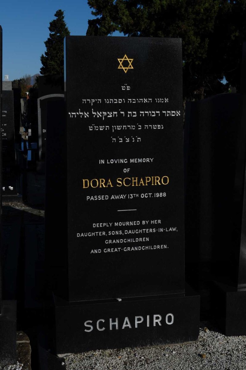 SCHAPIRO Dora -1988