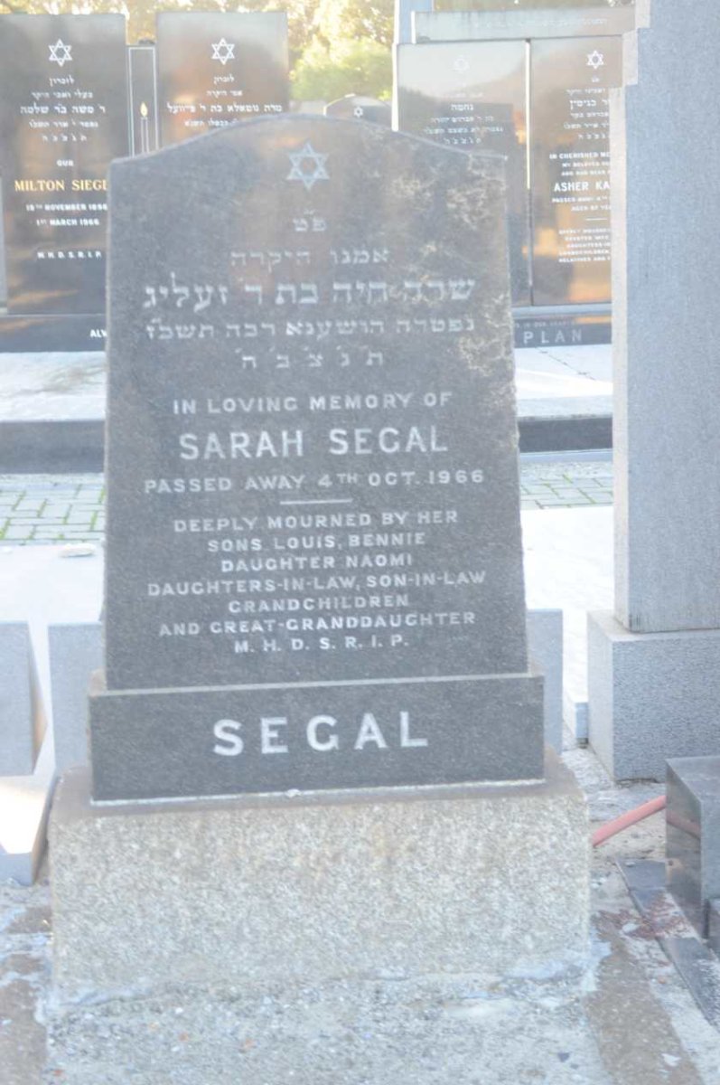 SEGAL Sarah -1966