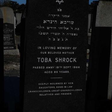 SHROCK Toba -1966