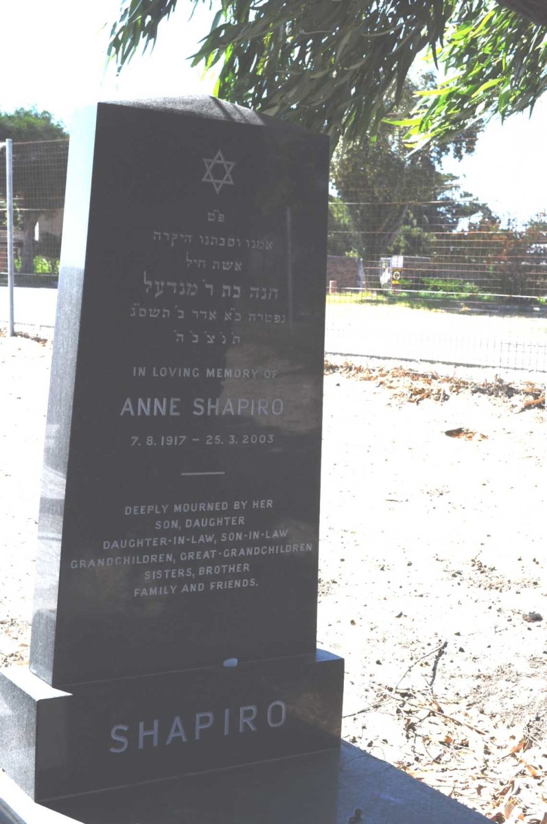 SHAPIRO Anne 1917-2003