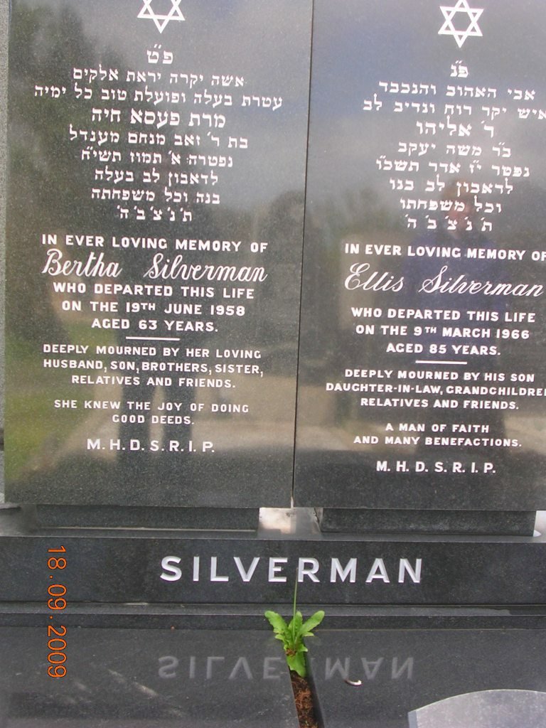 SILVERMAN Ellis -1966 &amp; Bertha -1958