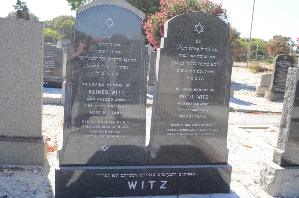 WITZ Beines -1962 &amp; Millie -1959