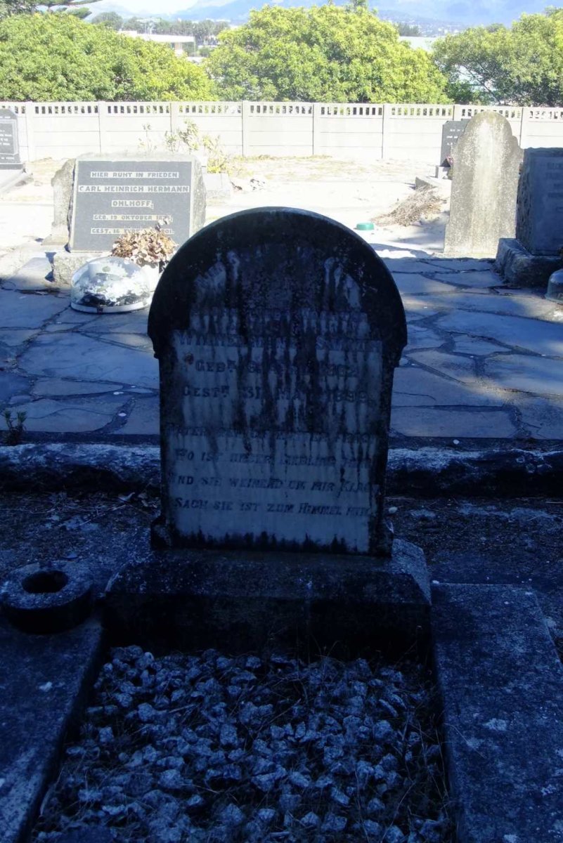 DSCF3557