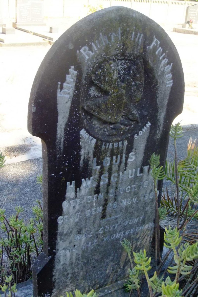 DSCF3541