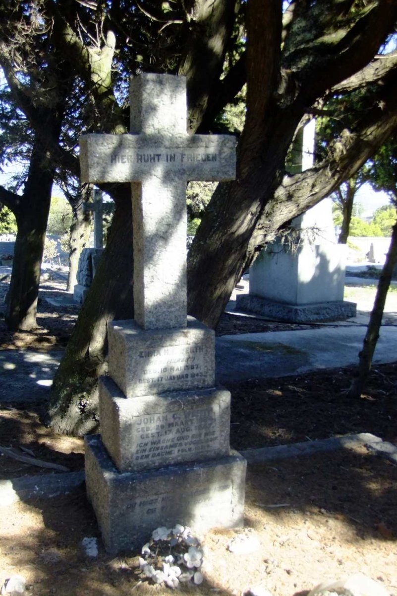DSCF3580
