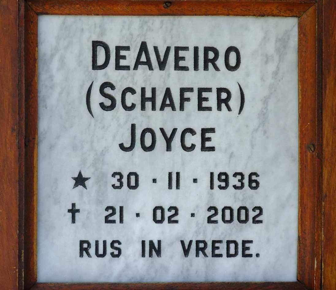 DSCF3765