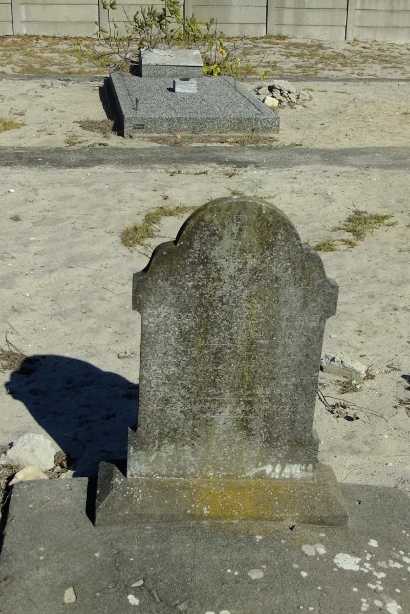 DSCF3523