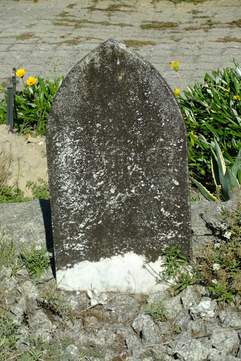 DSCF3443